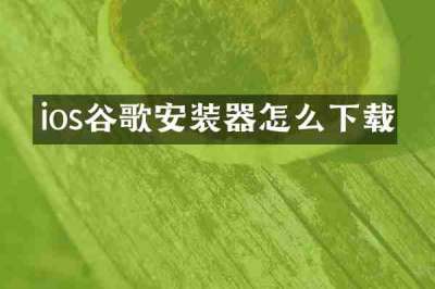 ios谷歌安装器怎么下载