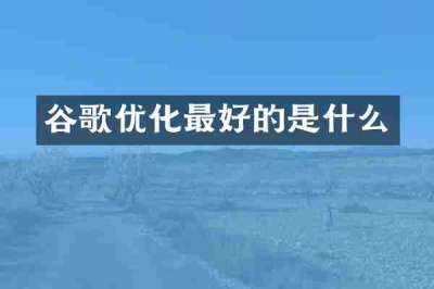 谷歌优化最好的是什么