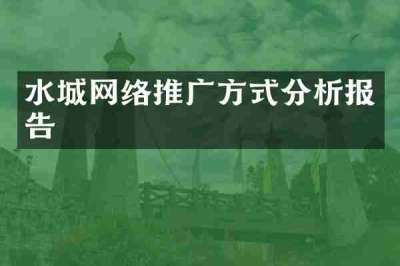 水城网络推广方式分析报告