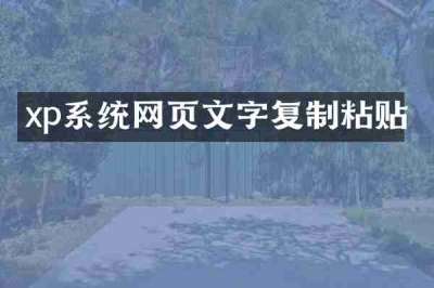 xp系统网页文字复制粘贴