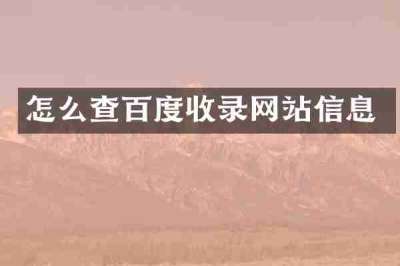 怎么查百度收录网站信息
