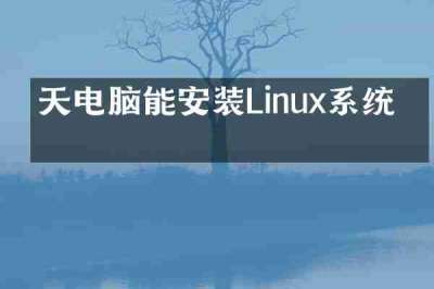 天玥电脑能安装Linux系统吗