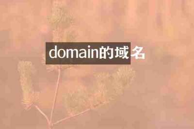 domain的域名