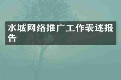 水城网络推广工作表述报告