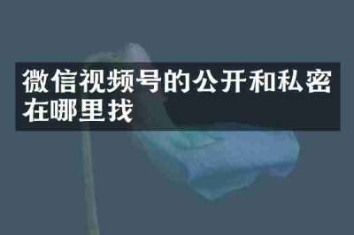 微信视频号的公开和私密在哪里找