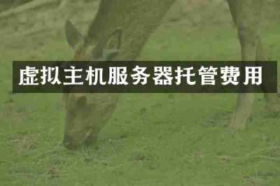 虚拟主机服务器托管费用