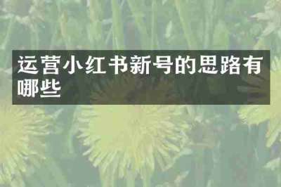 运营小红书新号的思路有哪些