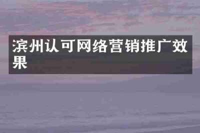 滨州认可网络营销推广效果