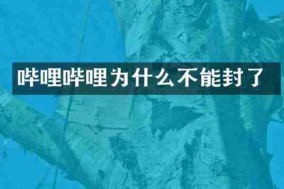哔哩哔哩为什么不能封了