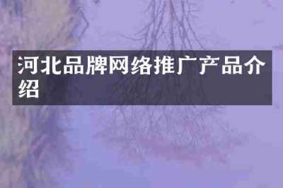 河北品牌网络推广产品介绍