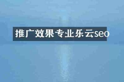 推广效果专业乐云seo