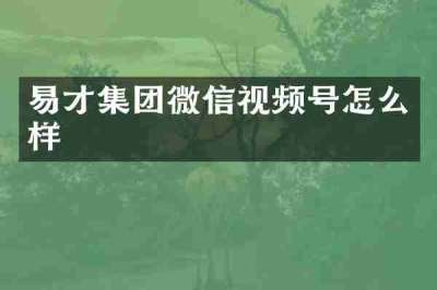 易才集团微信视频号怎么样
