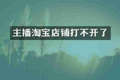 主播淘宝店铺打不开了