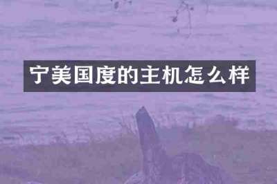 宁美国度的主机怎么样
