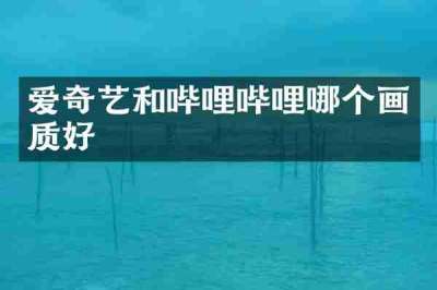 爱奇艺和哔哩哔哩哪个画质好