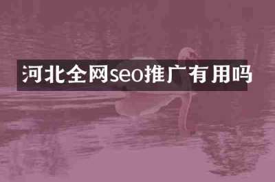 河北全网seo推广有用吗