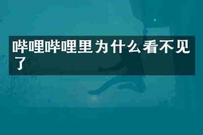 哔哩哔哩里为什么看不见了