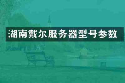 湖南戴尔服务器型号参数