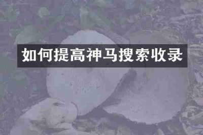 如何提高神马搜索收录