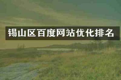 锡山区百度网站优化排名