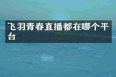 飞羽青春直播都在哪个平台