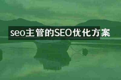 seo主管的SEO优化方案