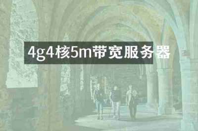 4g4核5m带宽服务器