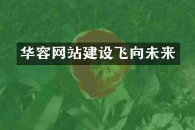华容网站建设飞向未来