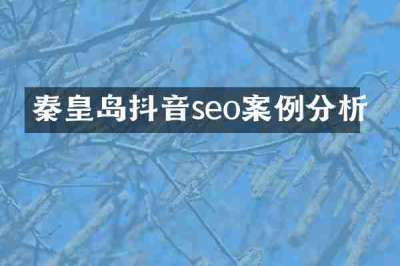 秦皇岛抖音seo案例分析