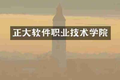正大软件职业技术学院
