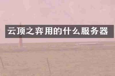 云顶之弈用的什么服务器