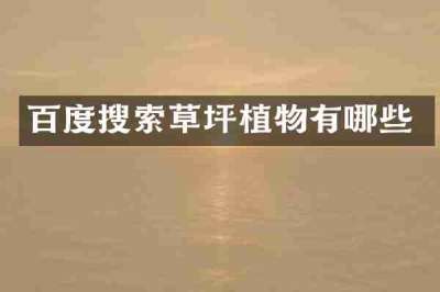 百度搜索草坪植物有哪些