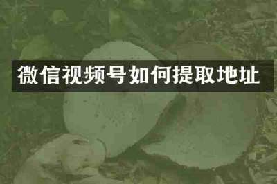 微信视频号如何提取地址