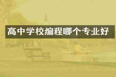 高中学校编程哪个专业好