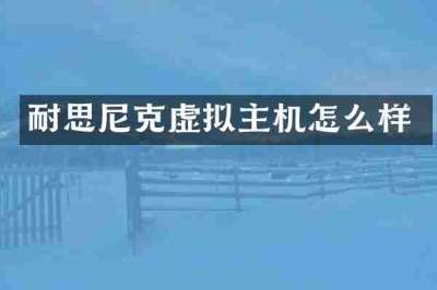 耐思尼克虚拟主机怎么样