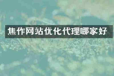 焦作网站优化代理哪家好