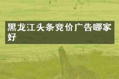 黑龙江头条竞价广告哪家好