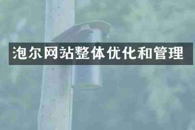 泡尔网站整体优化和管理