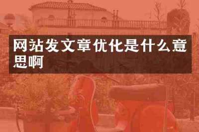 网站发文章优化是什么意思啊