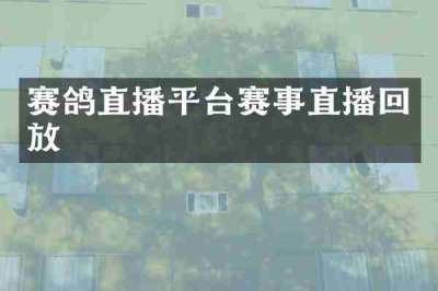 赛鸽直播平台赛事直播回放