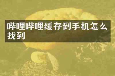 哔哩哔哩缓存到手机怎么找到
