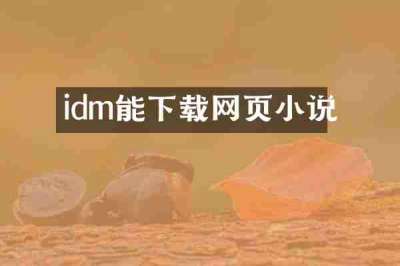 idm能下载网页小说
