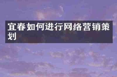 宜春如何进行网络营销策划
