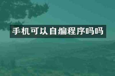 手机可以自编程序吗吗