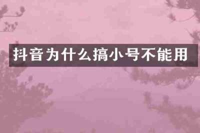 抖音为什么搞小号不能用