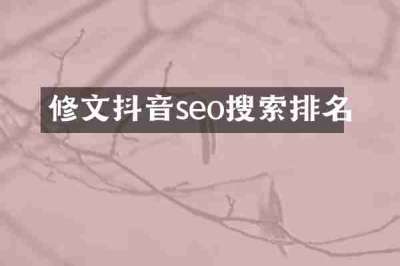 修文抖音seo搜索排名