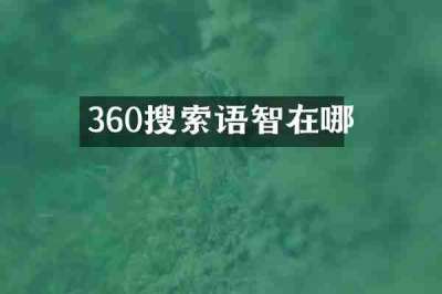 360搜索语智在哪