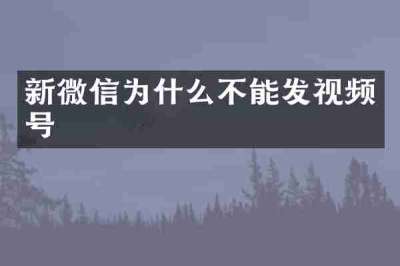 新微信为什么不能发视频号