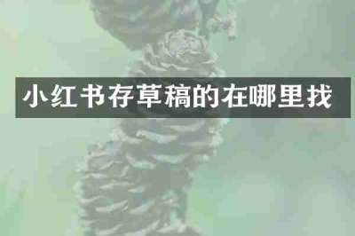小红书存草稿的在哪里找