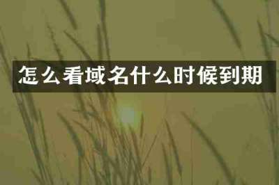 怎么看域名什么时候到期